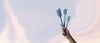 A hand holding put 3 different sized GIR Spatulas on a background with purple and pink shades.