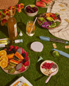 The GIR 6 Piece Essential Picnic Set in a picnic setting. 