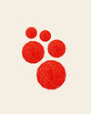 Red 5 Piece Suction Lids on a cream background 