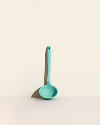 GIR Ladle