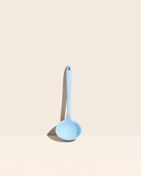 GIR Ladle